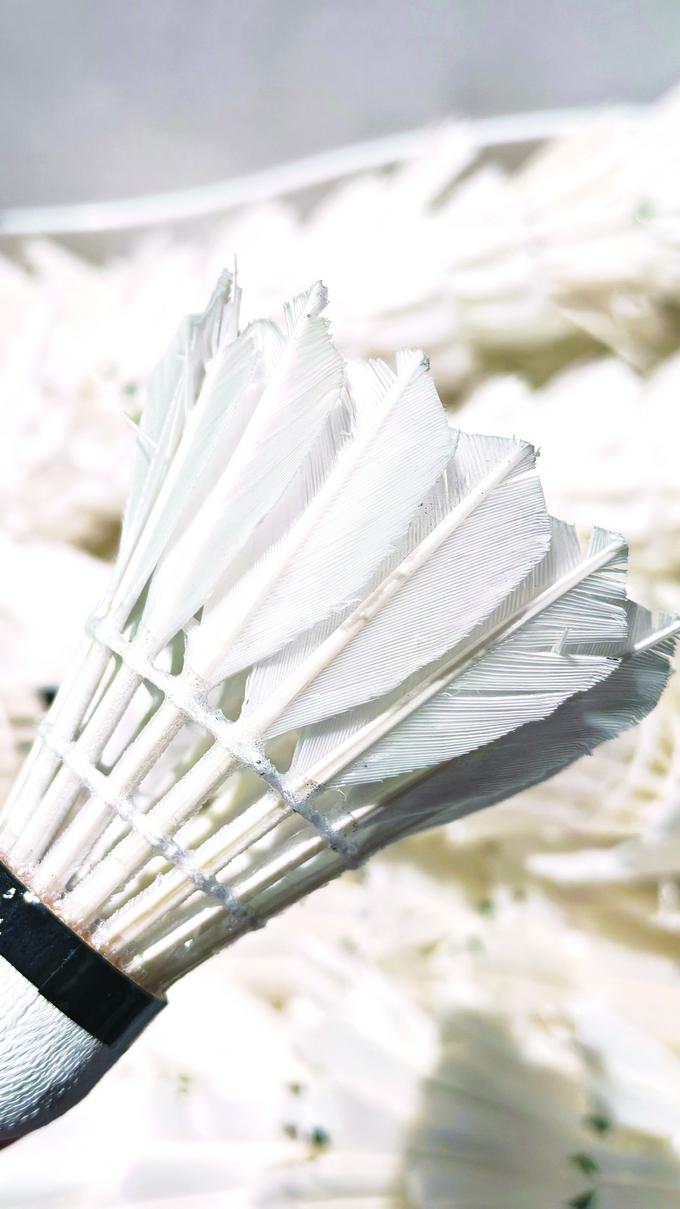 桶羽毛球价, div, 经销商利润 桶羽毛球价, div, 经销商利润